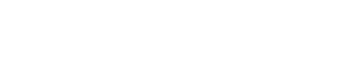 Navitasoft logo