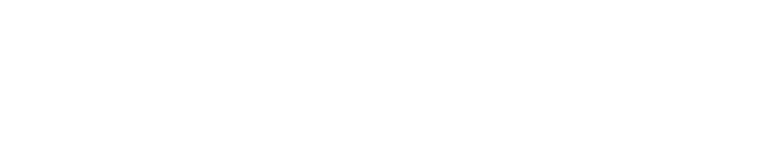 Plassido logo