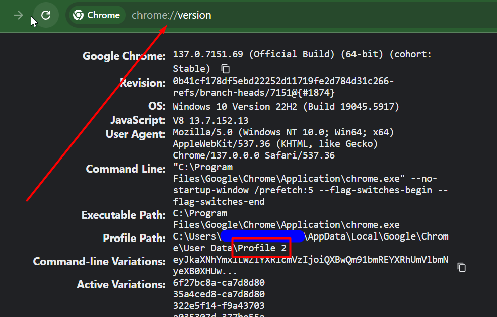 The chrome://version page with the Profile Path row showing the profile directory name
