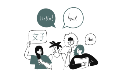 Translation Validation Tool